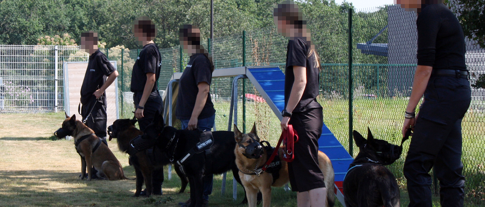 Agent de gardiennage spécialisé : Maître chien, agent cynophile autour de Mulhouse et Colmar Wittelsheim