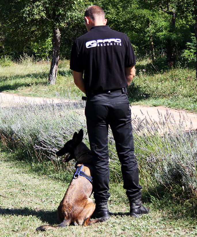 Agent de gardiennage spécialisé : Maître chien, agent cynophile autour de Mulhouse et Colmar Saint-Louis 1