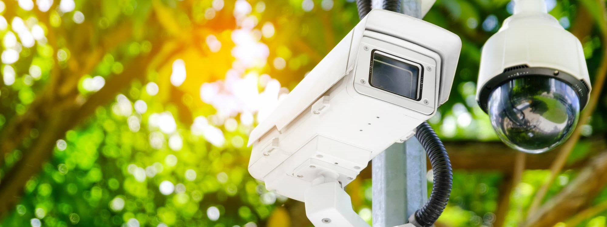 4 technologies de détection d&#8217;intrusion à connaître pour une protection optimale Cernay